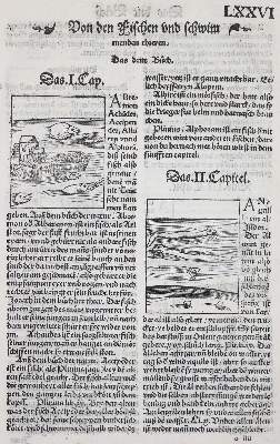 Bild Nr.4: 136-1418 Gart der Gesuntheit: (Botanik, Kräuterbücher)