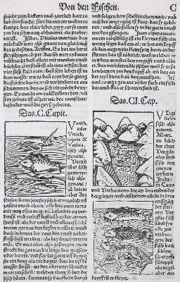 Bild Nr.5: 136-1418 Gart der Gesuntheit: (Botanik, Kräuterbücher)