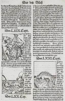 Bild Nr.6: 136-1418 Gart der Gesuntheit: (Botanik, Kräuterbücher)