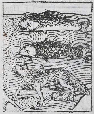 Bild Nr.7: 136-1418 Gart der Gesuntheit: (Botanik, Kräuterbücher)