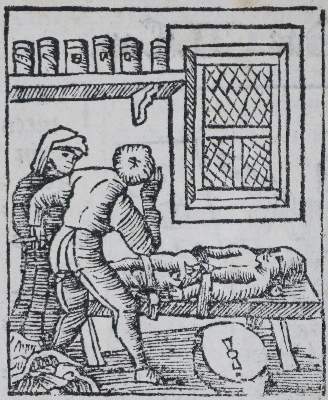 Bild Nr.8: 136-1418 Gart der Gesuntheit: (Botanik, Kräuterbücher)