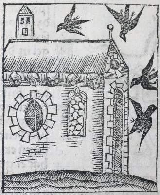 Bild Nr.9: 136-1418 Gart der Gesuntheit: (Botanik, Kräuterbücher)