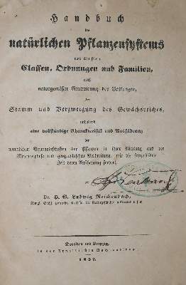 Bild Nr.1: 136-1429 Reichenbach,H.G.L.: (Botanik)