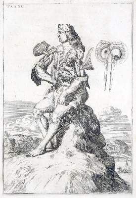 Bild Nr.1: 136-1452 Browne,J.: (Medizin)
