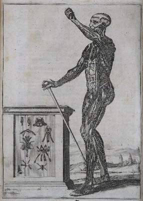 Bild Nr.2: 136-1452 Browne,J.: (Medizin)