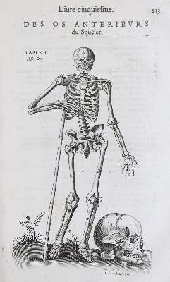 Bild Nr.1: 136-1478 Laurens,A.du.: (Medizin)