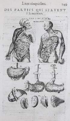 Bild Nr.2: 136-1478 Laurens,A.du.: (Medizin)