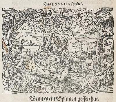 Bild Nr.3: 136-1528 Vegetius Renatus, F.: (Medizin)