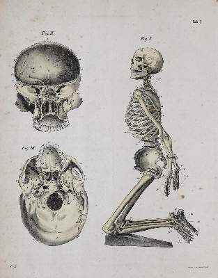 Bild Nr.1: 136-1533 Zimmermann,I.C.E.: (Medizin)