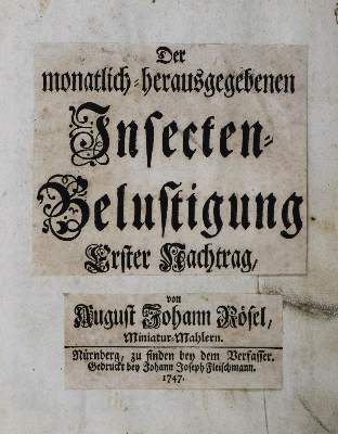 Bild Nr.2: 136-1546 Rösel von Roselhof,A.J.: (Zoologie, Insekten)