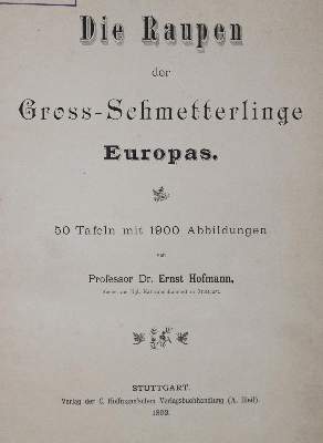 Bild Nr.1: 136-1561 Hofmann, E.: (Zoologie, Schmetterlinge)