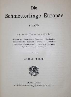 Bild Nr.3: 136-1564 Spuler,A.: (Zoologie, Schmetterlinge)