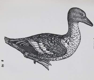 Bild Nr.11: 136-1569 Gessner,C.: (Zoologie, Vögel)