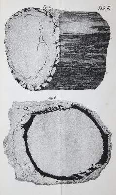 Bild Nr.1: 136-1606 Petzholdt,A.: (Verschiedene Gebiete - Varia, Bergbau)