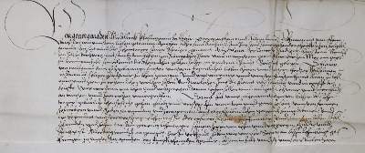 Bild Nr.1: 136-170 Albrecht (V.) Pfalzgraf bei Rhein: (Handschriften, Lehenbrief)