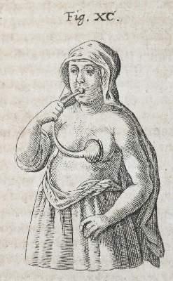 Bild Nr.5: 136-1714 Sturm,J.C.: (Verschiedene Gebiete - Varia)