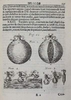 Bild Nr.6: 136-1714 Sturm,J.C.: (Verschiedene Gebiete - Varia)