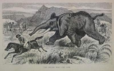 Bild Nr.3: 136-1738 Baker,S.W.: (Afrika)
