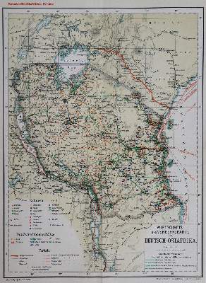 Bild Nr.1: 136-1747 Fuchs,P.: (Afrika)