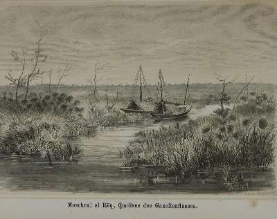 Bild Nr.1: 136-1749 Heuglin,M.T.v.: (Afrika)