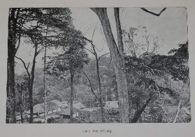 Bild Nr.1: 136-1755 Leue,A.: (Afrika)