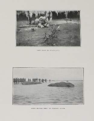 Bild Nr.1: 136-1756 Lyell,D.D.: (Afrika)