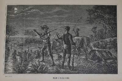 Bild Nr.1: 136-1759 Mohr,E.: (Afrika)