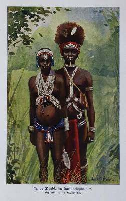 Bild Nr.1: 136-1766 Schynse,A.: (Afrika)