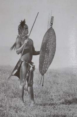 Bild Nr.1: 136-1771 Tremearne,A.J.N.: (Afrika)