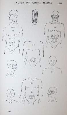 Bild Nr.2: 136-1771 Tremearne,A.J.N.: (Afrika)