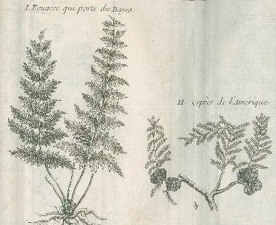 Bild Nr.2: 136-1793 Charlevoix,P.(F.X.)de.: (Amerika, Kanada)