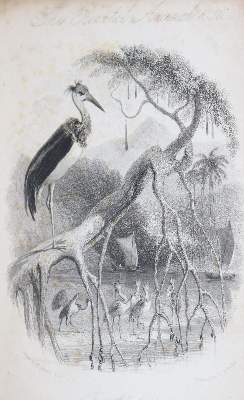 Bild Nr.1: 136-1821 Caunter,H.: (Asien)