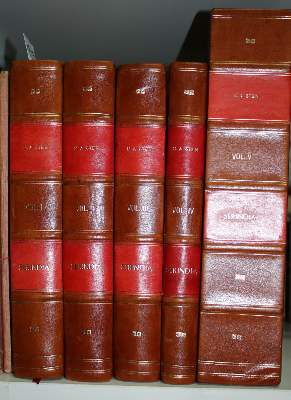 Bild Nr.10: 136-1859 Stein,A.: (Asien)