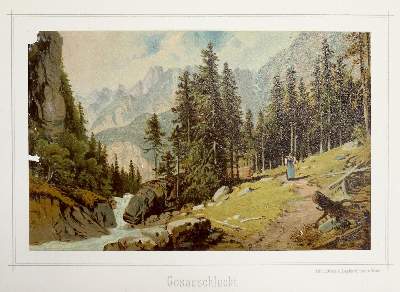 Bild Nr.1: 136-2031 (Gerasch,A.: (Österreich)