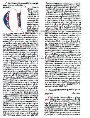 Bild Nr.1: 136-212 Rainerius de Pisis.: (Inkunabeln)