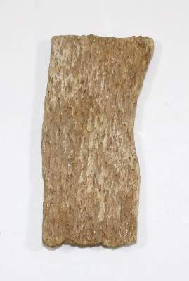 Bild Nr.2: 136-2236 Bein-Plättchen: (Varia)