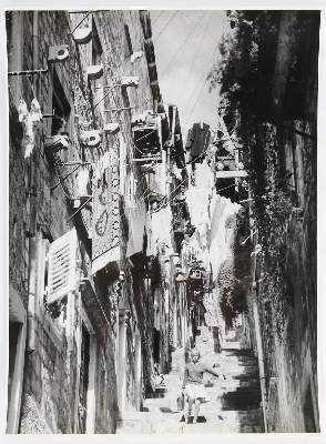 Bild Nr.5: 136-2661 Dabac, Toso: (Photographie)