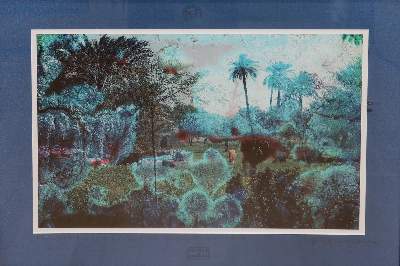 Bild Nr.2: 136-2687 Orel, Frank M.: (Photographie)