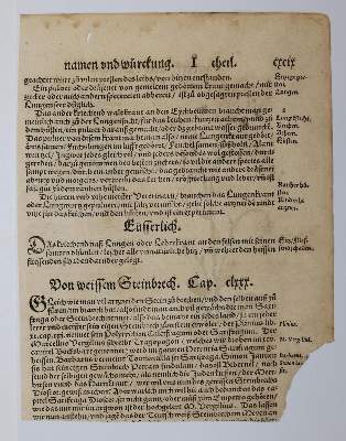 Bild Nr.6: 136-2722 Bock,H.: (Varia, Botanik)