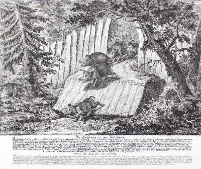 Bild Nr.1: 136-2763 Wolfsjagd.: (Varia, Jagd, Ridinger)