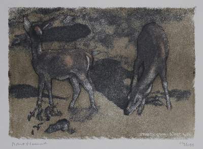 Bild Nr.22: 136-2786 Konvolut: (Varia)