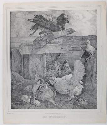 Bild Nr.3: 136-2787 Konvolut: (Varia)