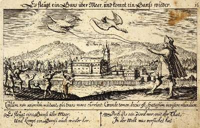 Bild Nr.1: 136-2868 Eichhof bei Bad Hersfeld.: (Deutschland)