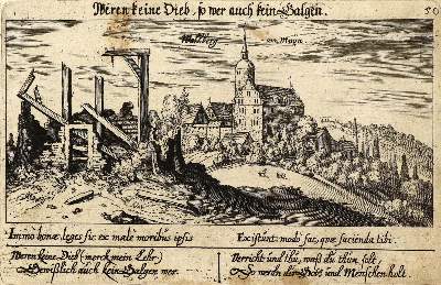 Bild Nr.1: 136-2995 Wallberg a. M. bei Eltman.: (Deutschland)