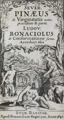 Bild Nr.1: 136-300 Pineau,S.: (Alte Drucke, Handschriften und Theologie)