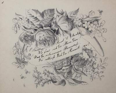 Bild Nr.1: 136-3007 Blumen.: (Botanik, Weihnachtabend 1884)