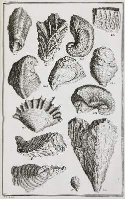 Bild Nr.4: 136-337 Scheuchzer,J.J.: (Alte Drucke, Handschriften und Theologie)