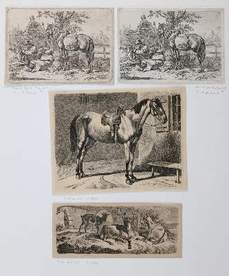 Bild Nr.1: 136-3390 Erhard, Johann Christoph: (Künstlergraphik)