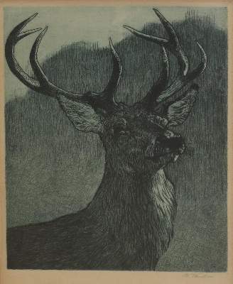 Bild Nr.4: 136-3426 Fikentscher, Otto: (Künstlergraphik)
