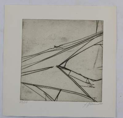 Bild Nr.4: 136-3506 Hauser,Erich: (Künstlergraphik)